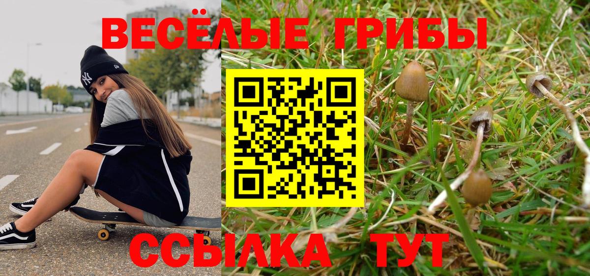 Галлюциногенные грибы Cubensis Каменск-Шахтинский