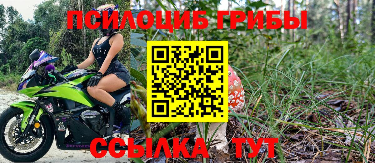 Галлюциногенные грибы Psilocybe  Вход с VPN  Каменск-Шахтинский 